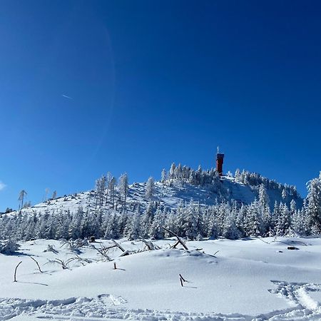 Bergtraum Braunlage Im Harz, 17 Gaeste, Sauna, Pool 빌라 외부 사진