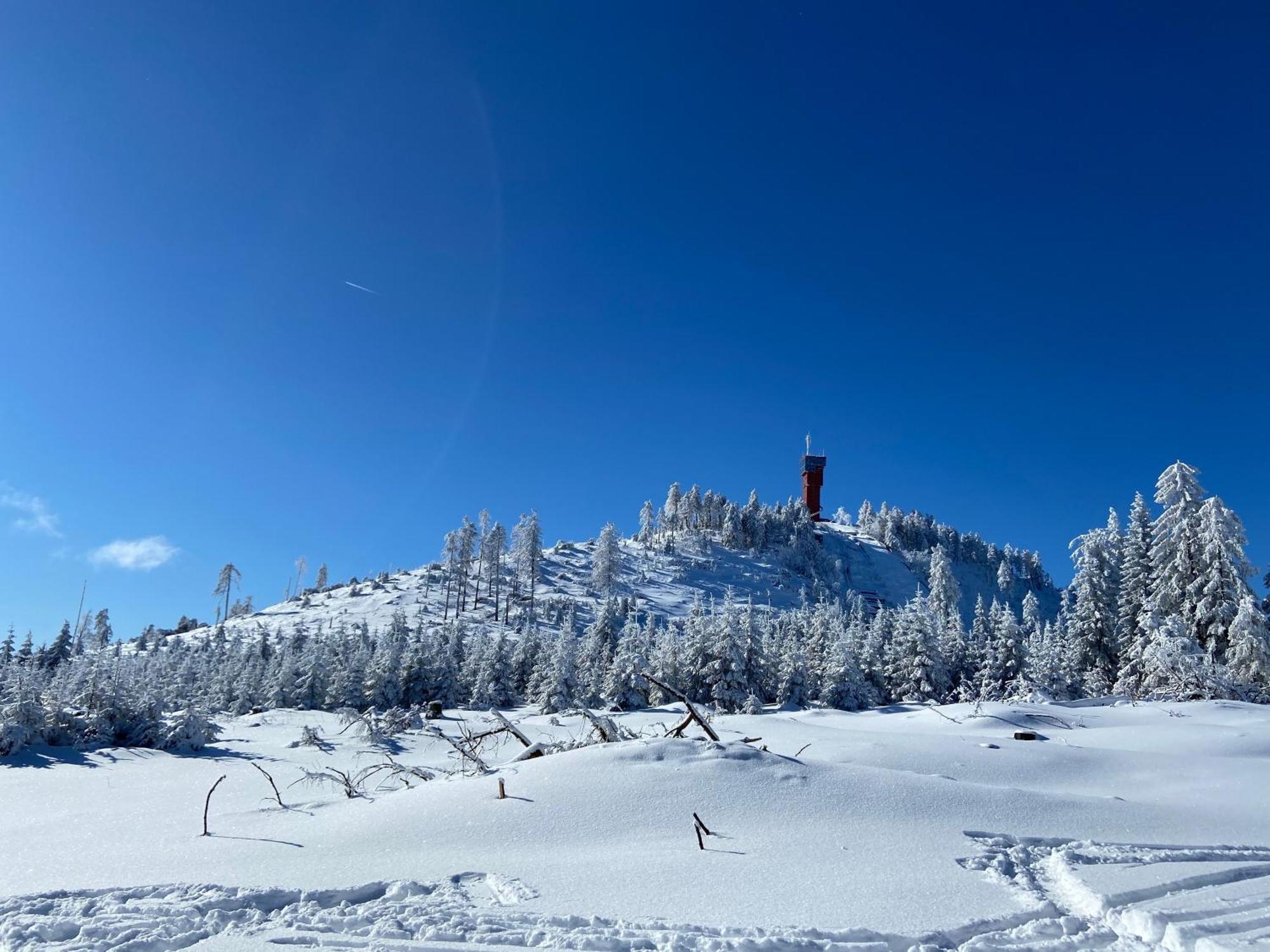Bergtraum Braunlage Im Harz, 17 Gaeste, Sauna, Pool 빌라 외부 사진