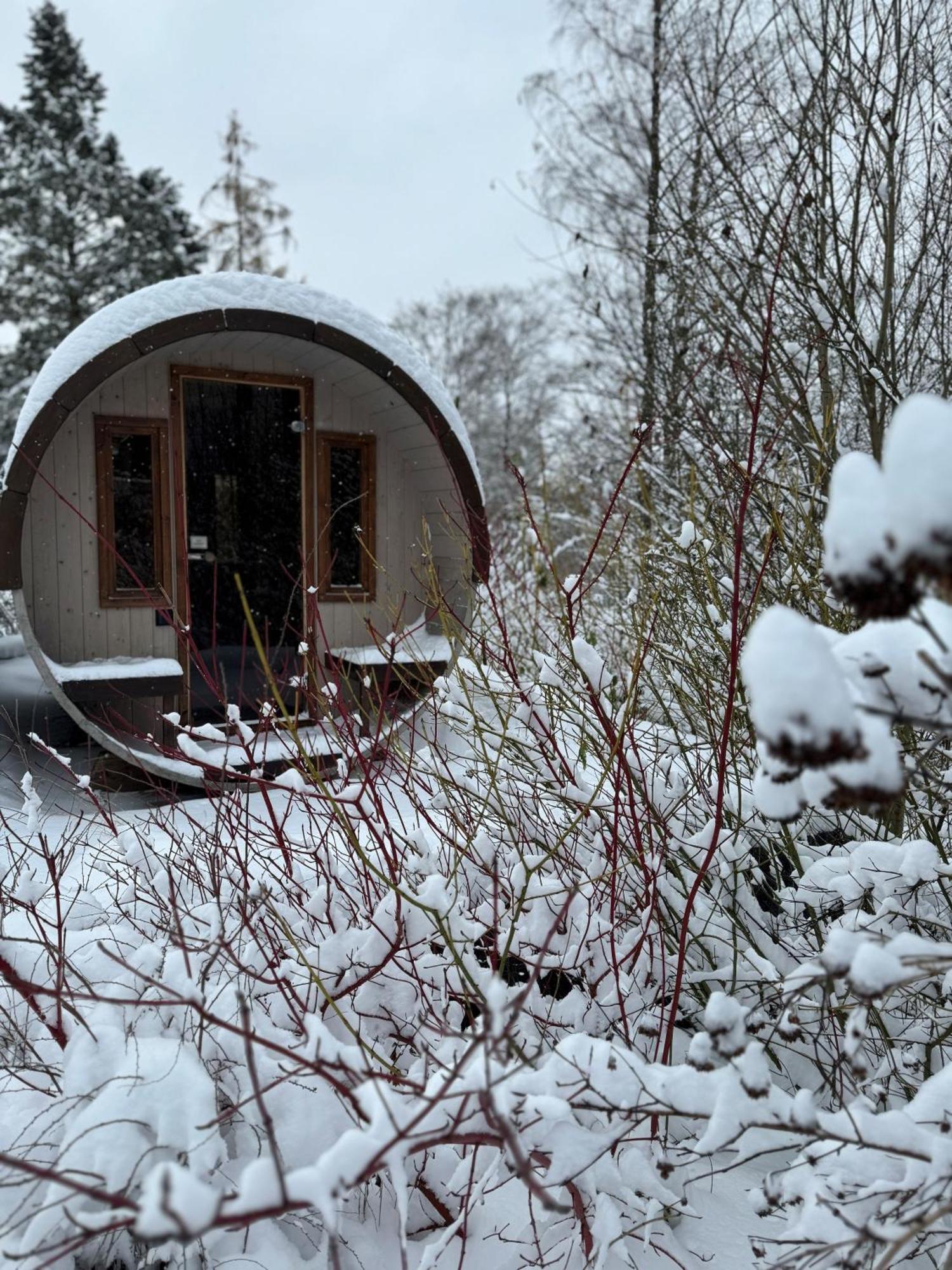 Bergtraum Braunlage Im Harz, 17 Gaeste, Sauna, Pool 빌라 외부 사진