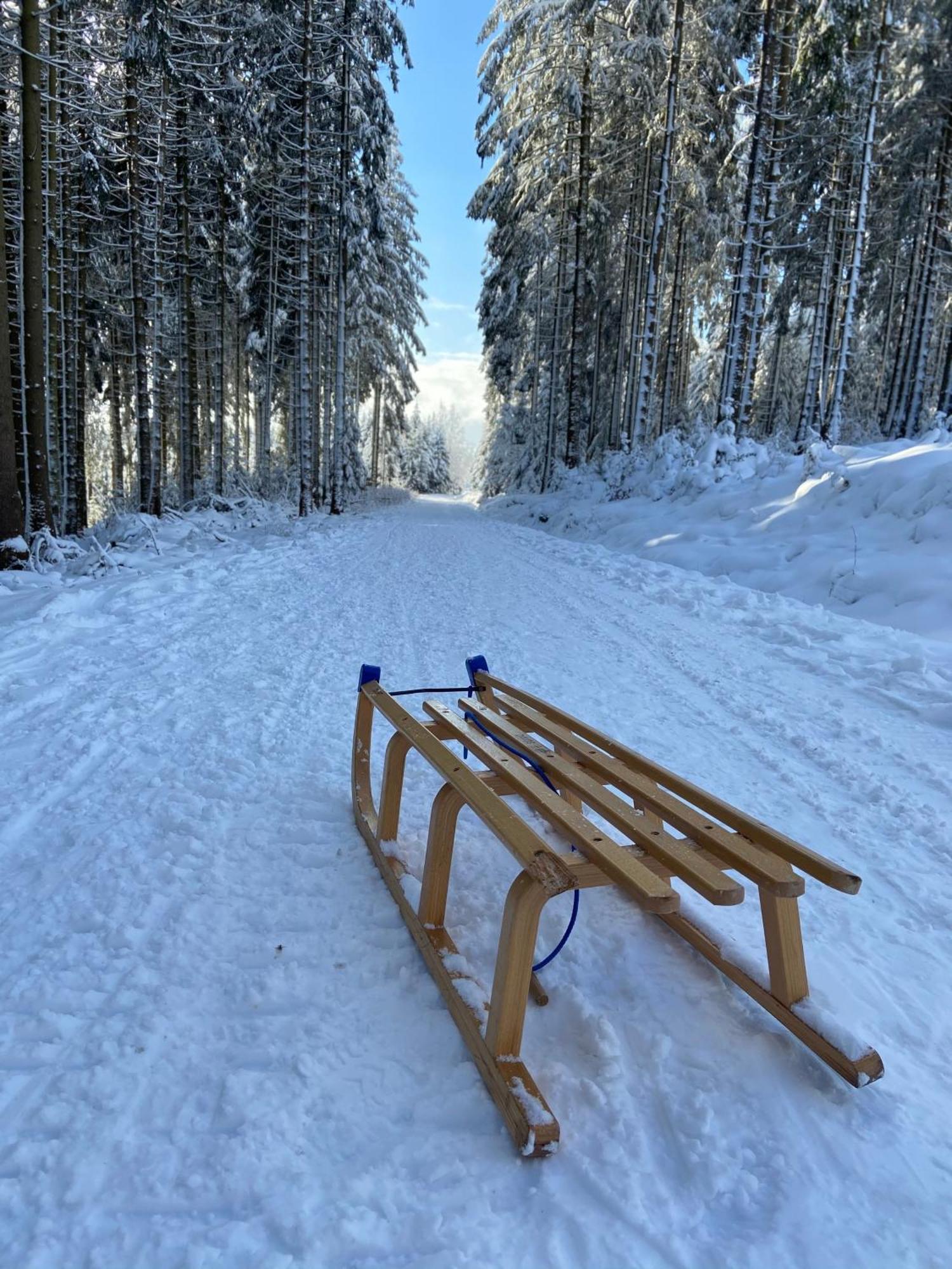 Bergtraum Braunlage Im Harz, 17 Gaeste, Sauna, Pool 빌라 외부 사진
